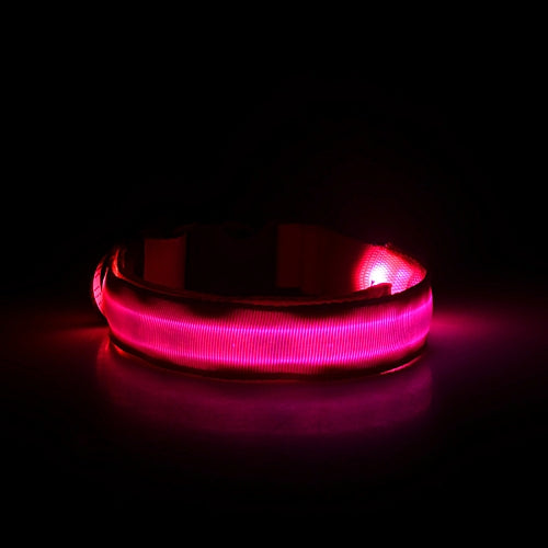 Night Safety Led Collar