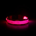 Night Safety Led Collar