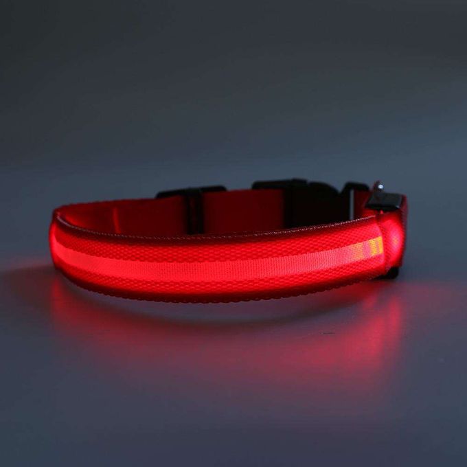 Night Safety Led Collar