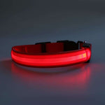 Night Safety Led Collar