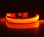 Night Safety Led Collar