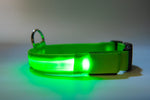 Night Safety Led Collar