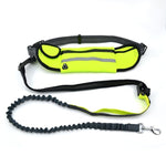 Handsfree Bungee Dog Leash