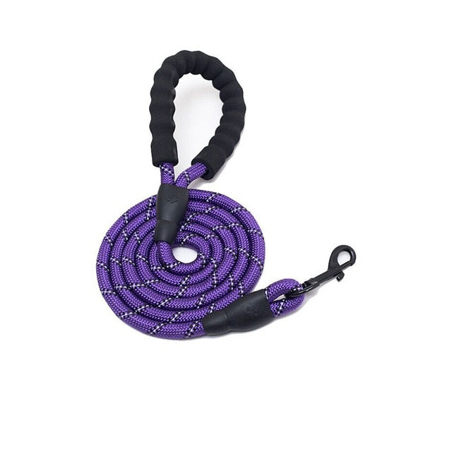 Durable Nylon Dog Leash