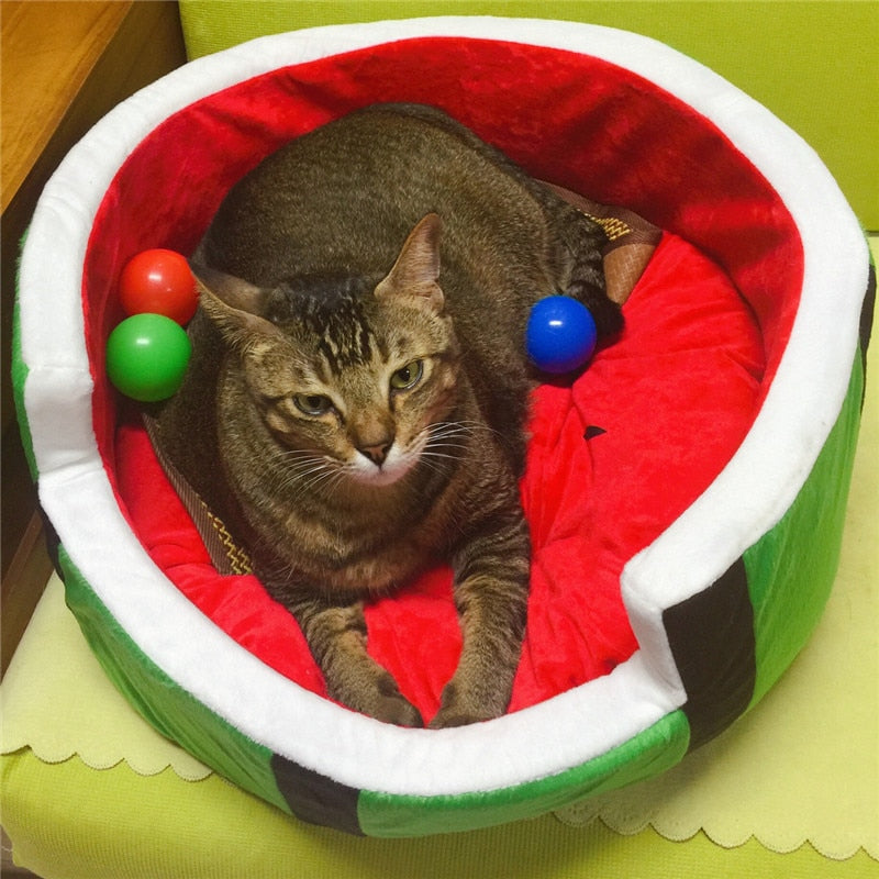 Cute Watermelon Bed