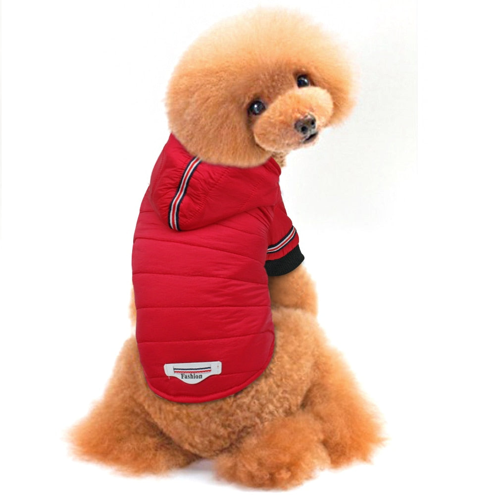 Dog Winter Jacket