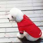 Dog Winter Jacket