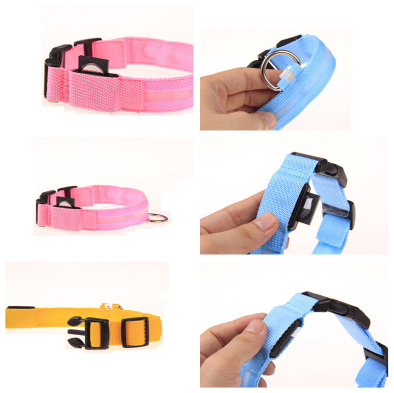 Night Safety Led Collar