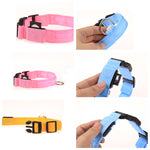Night Safety Led Collar