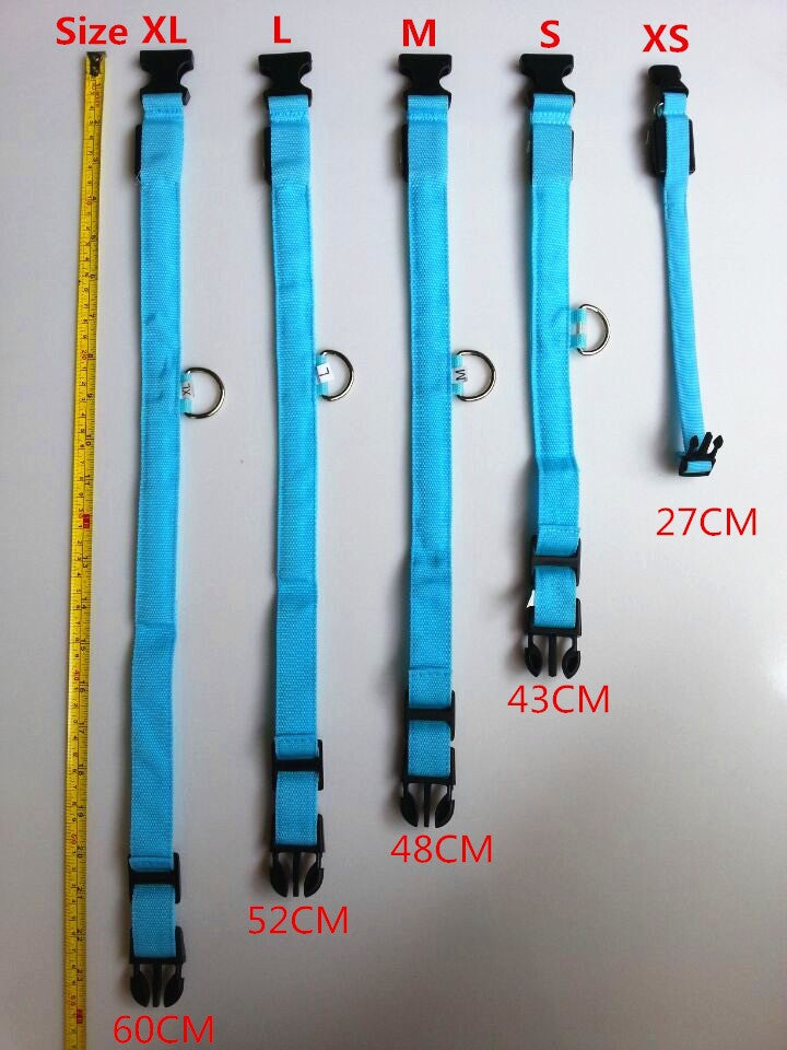 Night Safety Led Collar