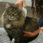 Electric Flea Comb For Pets