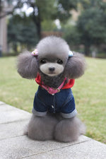 Dog Clothes for Winter