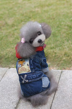 Dog Clothes for Winter