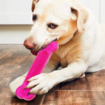 Pet Molar Tooth Cleaner