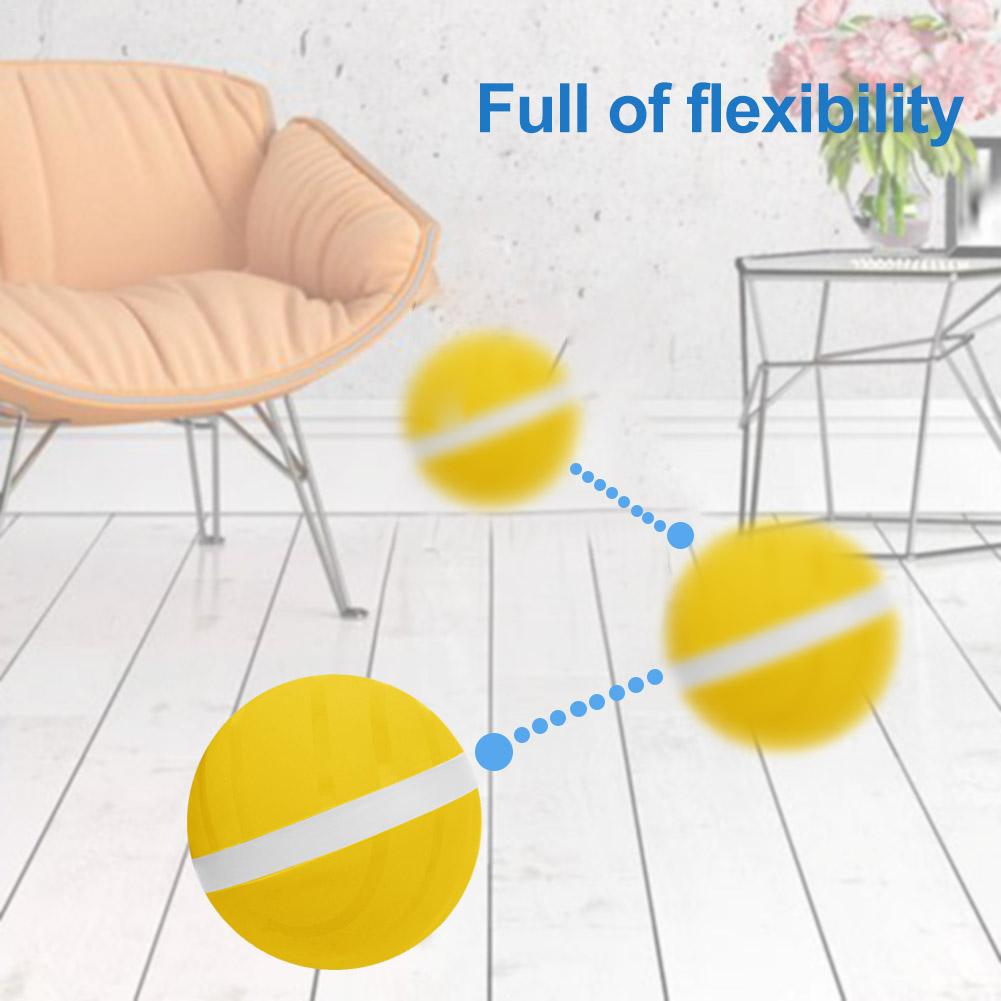 Motion Ball For Pets