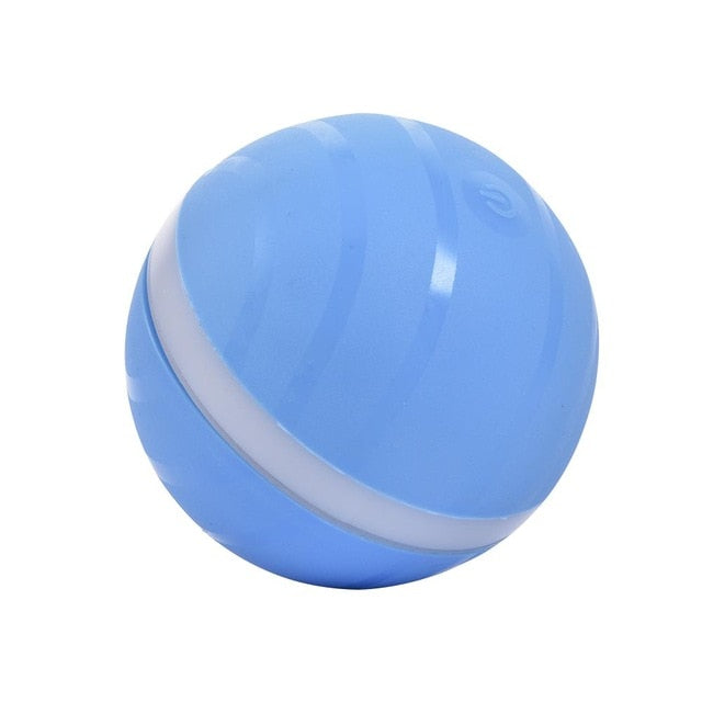 Motion Ball For Pets