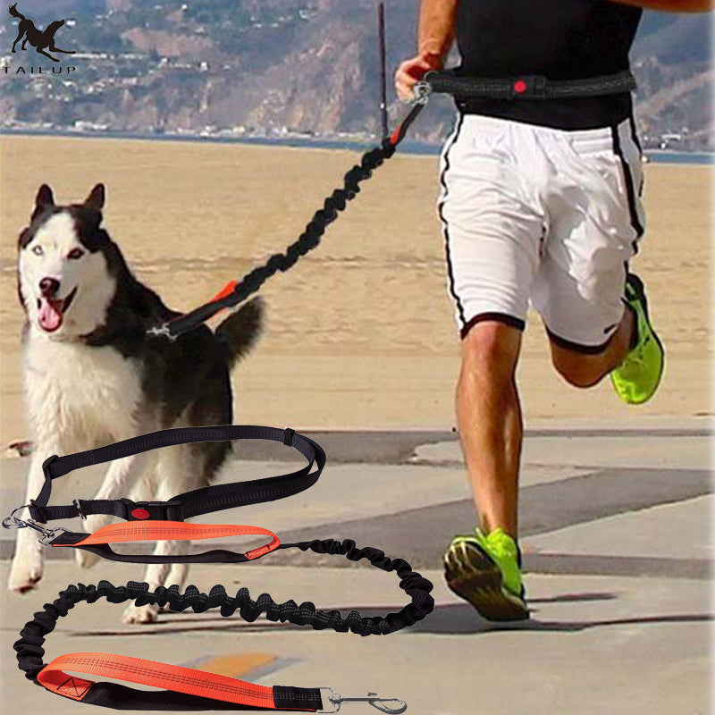 Handsfree Bungee Dog Leash