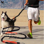 Handsfree Bungee Dog Leash