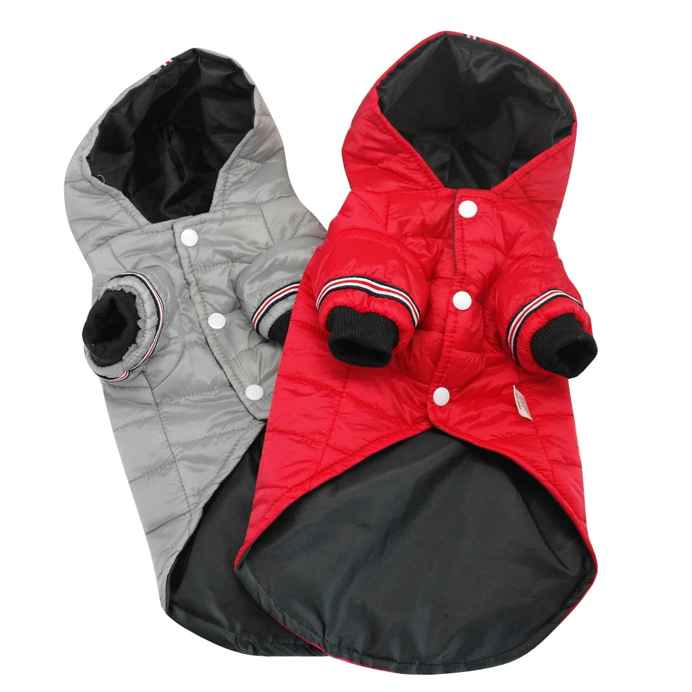 Dog Winter Jacket