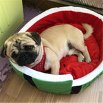 Cute Watermelon Bed