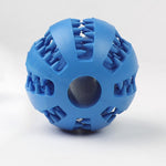 PET RUBBER BALL