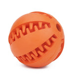 PET RUBBER BALL