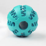 PET RUBBER BALL