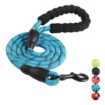 Durable Nylon Dog Leash
