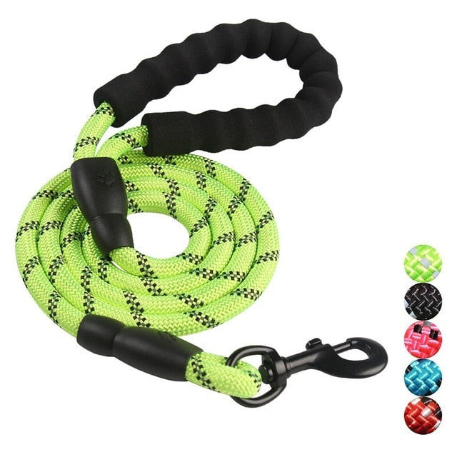Durable Nylon Dog Leash