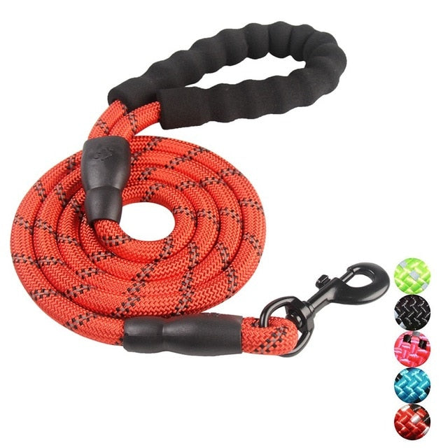 Durable Nylon Dog Leash