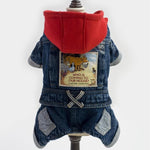 Dog Clothes for Winter