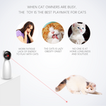 LED Laser For Cat Training